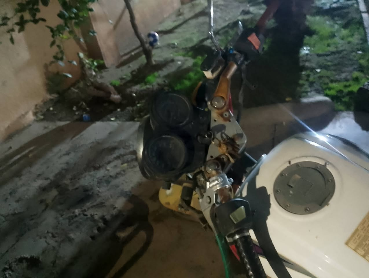 السلام عليكم دراجات للبيع           1-(بانده)✔️ دراجه مجفته جديد كهربائيات شغاله نقص باتري السعر 250وبي مجال.      ✔️❤️⚖️           2-(سرفيز) دراجه مجفته جديد كهربائيات شغاله نقص باتري السعر 200وبي مجال الاستفسار الاتصال على الرقم ***********العنوان الضلوعيه 💓 وحياكم الله ❤️✔️⚔️⚖️
