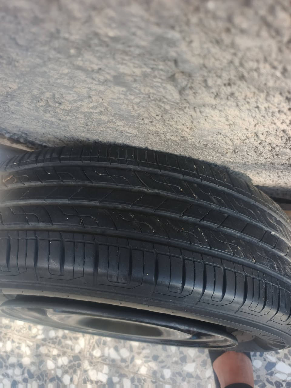 كدام عينك تخم كومهو مابيهن ولا بنجر وياله أصليه سعرهن ٢٥٠اي استفسار ***********
