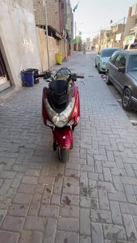 ماجستك • واساب • مدينه