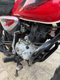 بوكسر جبلي • 2022 • مرقم انكليزي