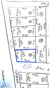 أرض زراعية • حي الفارس • ١٦٢م