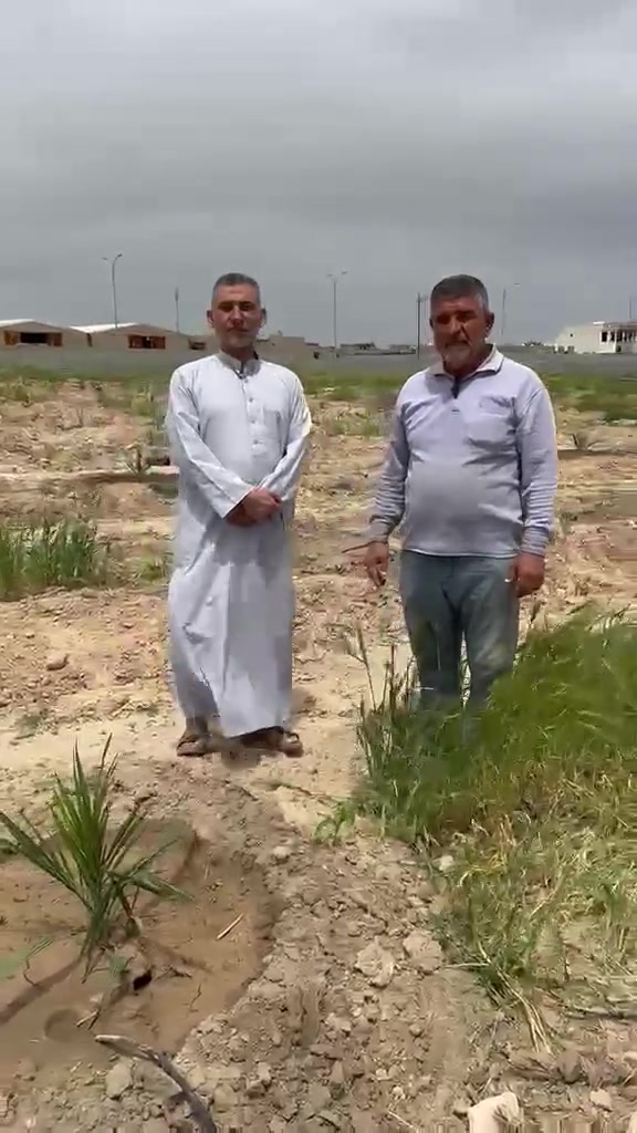 تتشرف مشاتل الدكتور عدي الناصر للنخيل النسيجي بالترحيب بالأخوة المزارعين الكرام 

نضع بين أيديكم خبرة وثقة لسنوات في خدمة القطاع الزراعي، ونقدم لكم:
🔸 تجهيز مزارع متكاملة وفق أحدث الأساليب
🔸 إشراف ومتابعة مستمرة لضمان أفضل النتائج
🔸 شتلات نخيل نسيجية نقية وعالية الجودة من عدة أصناف 
البرحي والمجهول والمكتوم والزاملي والصقعي والإفحل 
🔸 مصادر موثوقة ومعتمدة

مع الناصر… نزرع معكم الثقة قبل النخيل 
ونضمن لكم إنتاجاً وفيراً وجودة تُنافس الأفضل

ابدأ مشروعك الزراعي بثقة… وكن شريك نجاح معنا
📞 تواصل معنا الآن للحجز والاستفسار

مشاتل الدكتور عدي الناصر
عنوان الجودة… وثمرة النجاح
***********
***********
