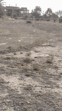 هور حجاب • ٢٥٠م • طابو زراعي