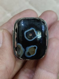 داودي 50 الف بغداد 07707135616