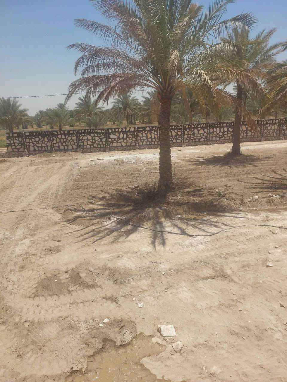 تغليف السواقي الزراعيه وتبطين البحيرات الزراعيه وبناء الاسيجه في المناطق الزراعيه والمناطق الغير زراعيه ايضا وكذالك بناء البيوت والمتنزهات للإستفسار مراسلة الصفحه او الاتصال على الأرقام التالية:-
***********
***********
