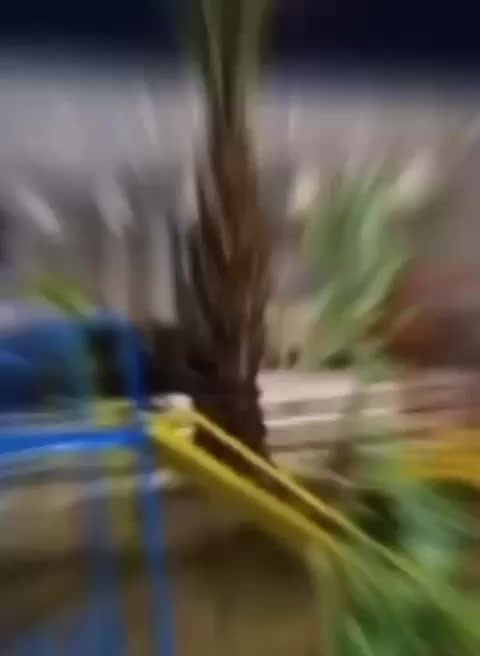 مزرعة للإيجار اليومي 🏡🌳
📍 الموقع: بغداد – الدورة – البوعيثة

✔️ أجواء هادئة ومناسبة للعوائل

✔️ مساحة واسعة وخدمات متوفرة

✔️ مثالية للراحة والونسة

📌 للحجز والاستفسار يرجى الاتصال أو المراسلة على واتساب: 

 📞 ***********

 موثق في تطبيق اجرلي لسياحة المزارع في العراق 🇮🇶
