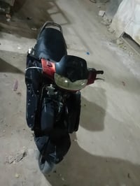 فراشه • مامفتوحه • فحل