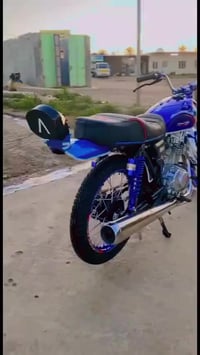 ربيدو للبيع وراق صولي رقم تواصل وتساب او عل خط 07827716547