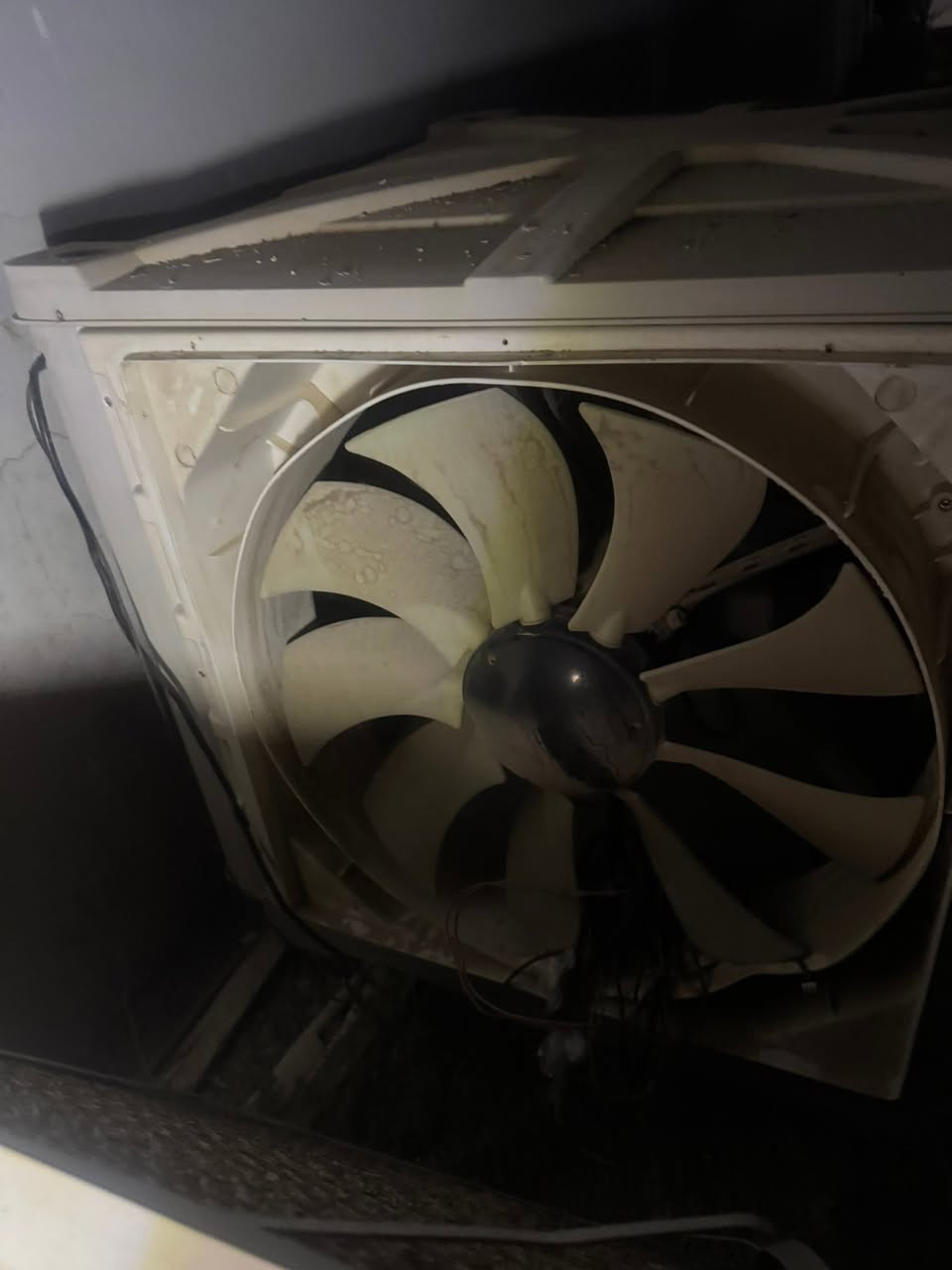 عندي هاي ميرده لبيع حجم ٤ ونص مال دكت سعر ٢٠٠ شراي يجي خاص


**إذا كنت صاحب هذا الإعلان وتريد حذفه لأي سبب، رجاءا أرسل رسالة إلى الدعم الفني**
