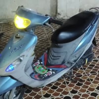 ماكس منغولي • استعمال قليل • مكفولة