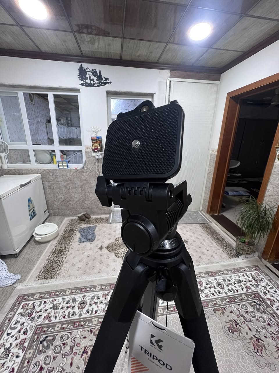 ياالله اخوان متوفر استاند ماركه k&f جديد   طول ١٩٠   فايبر  كلاس  كلش راقي  جديد غراض كامل   سعر ٤٥ الف


**إذا كنت صاحب هذا الإعلان وتريد حذفه لأي سبب، رجاءا أرسل رسالة إلى الدعم الفني**