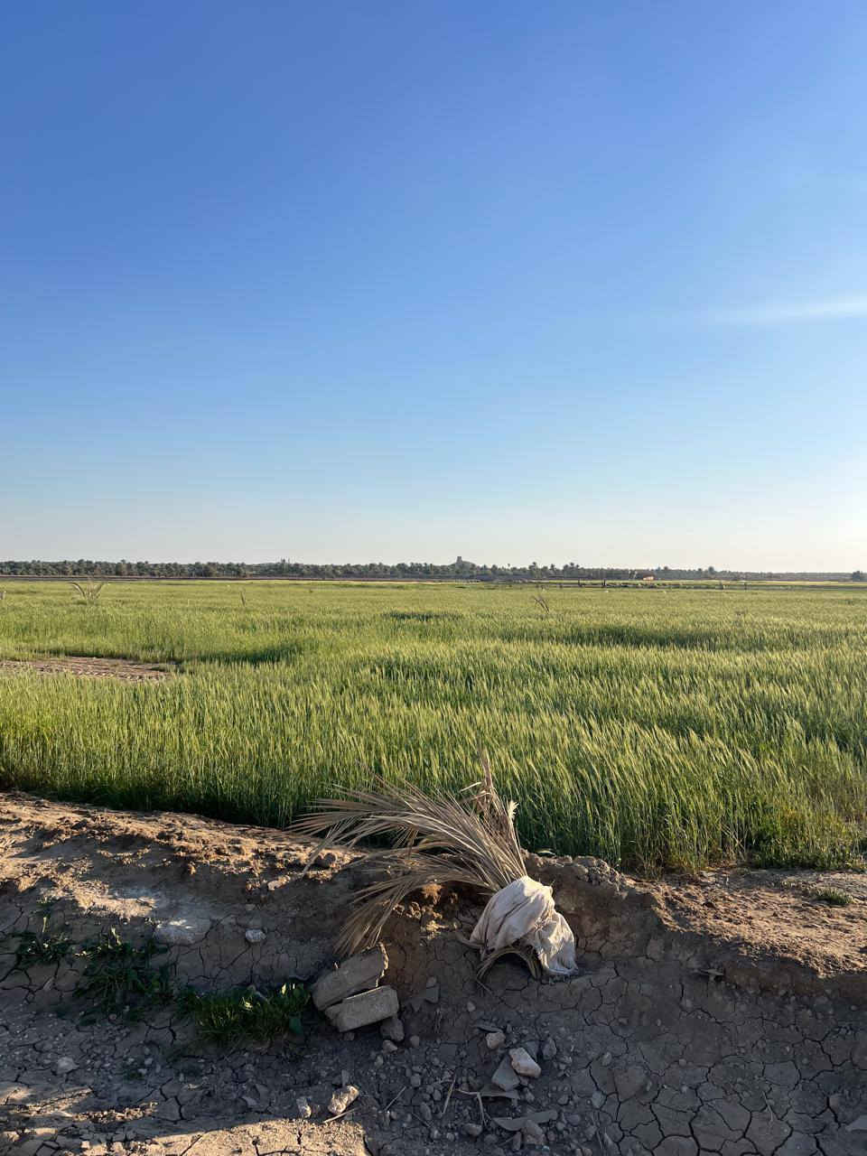 وينهم عاشق الريف ااجيتكم بمزراعه حلوه ومرتبيه متوافر فيه جيمع الخدمات
مساحه الارض 5دونم 🤌
نوع الارض طابو زراعي  سند 25 
مواقع قرب بزل حجي
لاستفسار اكثر الاتصال ***********
