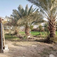 بستان • للبيع • تفاصيل بالخاص