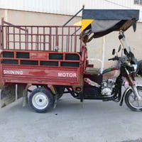 ستوته • موديل ٢٠ • فلوجة صقلاويه