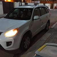 شيري تيكو • ٢٠١٣ • مكفولة صبغ وضربة