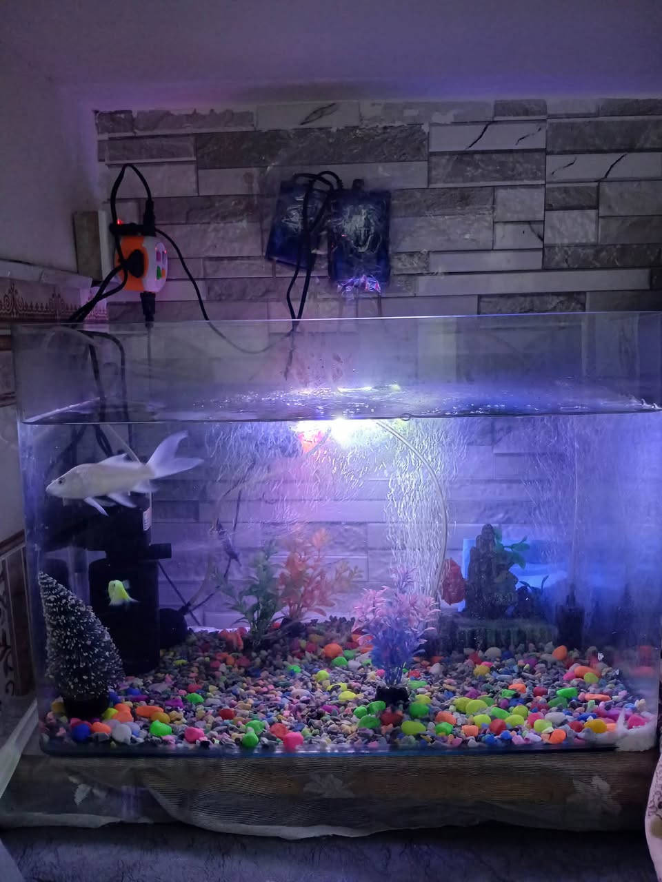 السلام عليكم  حوض اسماك🐟  حجم كبير كامل هو ومعداته
١- هيتر لتنظيم درجة حرارة الماء 🌡
٢-فلتر تصفية الماء ⛲️
٣- جهاز اوكسجين عدد ٣ 🧬
٤-اسماك عدد ٣ وحده كبيره ٢ اصغار  🐟
٥- نشره ملونه 🌈
٦- اكسسوارات= اشجار + ناعور + حصو ملون 
٧- اكل الخاص بيهن 🥣
السعر ٥٥  الاستفسار 
***********
