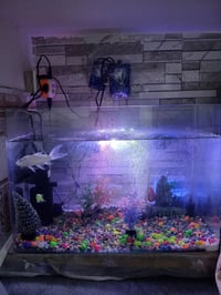 حوض اسماك🐟  حجم كبير كامل هو ومعداته ١- هيتر لتنظيم درجة حرارة الماء 🌡...