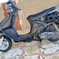 فراشة • فحل • مامفتوح