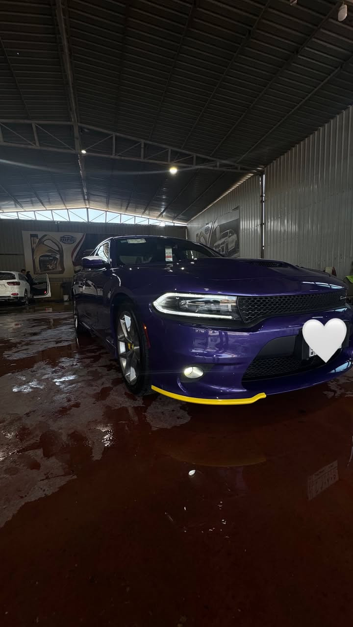 سلام عليكم للبيع جارجر2019 وكاله هارلم💜 GTبلاص رادار امامي لتقارنهه بالجيتي العاديه سياره بلاص فول شرط رقم بغداد فولل للاخيررر هزه ورقم جديد
السياره ماشيه60miجديده مكفوله من صبغ والتبديل بيههPDRاباب السايق اقل الشبرر كلش ممبين الباقي بشرط السونارر  السعر278بيهه مجال قليل الاتصال*********** مكاني بغداد
