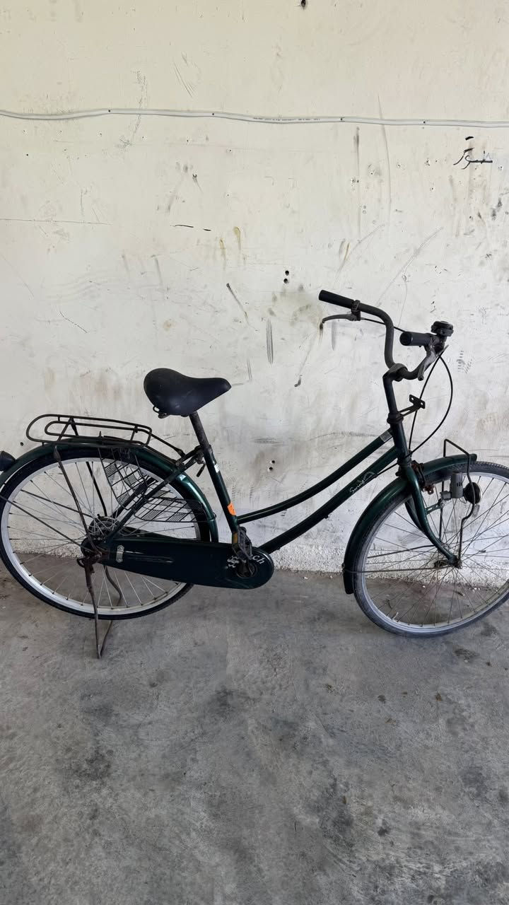 كلهن ياباني واسعار مناسب ***********
