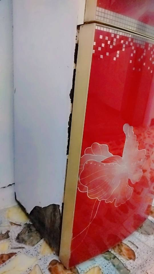 براد ماء شغال كلشي مابي 50 الف المكان بغداد حي الجهاد فقط بي زنجار من جوه مي حار بارد كله شغال بغداد, العراق


**إذا كنت صاحب هذا الإعلان وتريد حذفه لأي سبب، رجاءا أرسل رسالة إلى الدعم الفني**