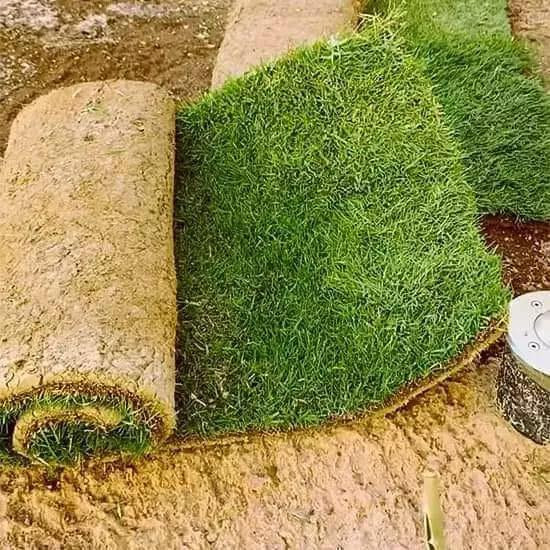 ثيل لبيع درجة اولى ثيل ديالى الاتصال ***********
