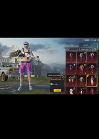 حساب ببجي عالميه مستوى 74 تفاصيل الحساب بصور سعر 55 الف وتساب 07712233...