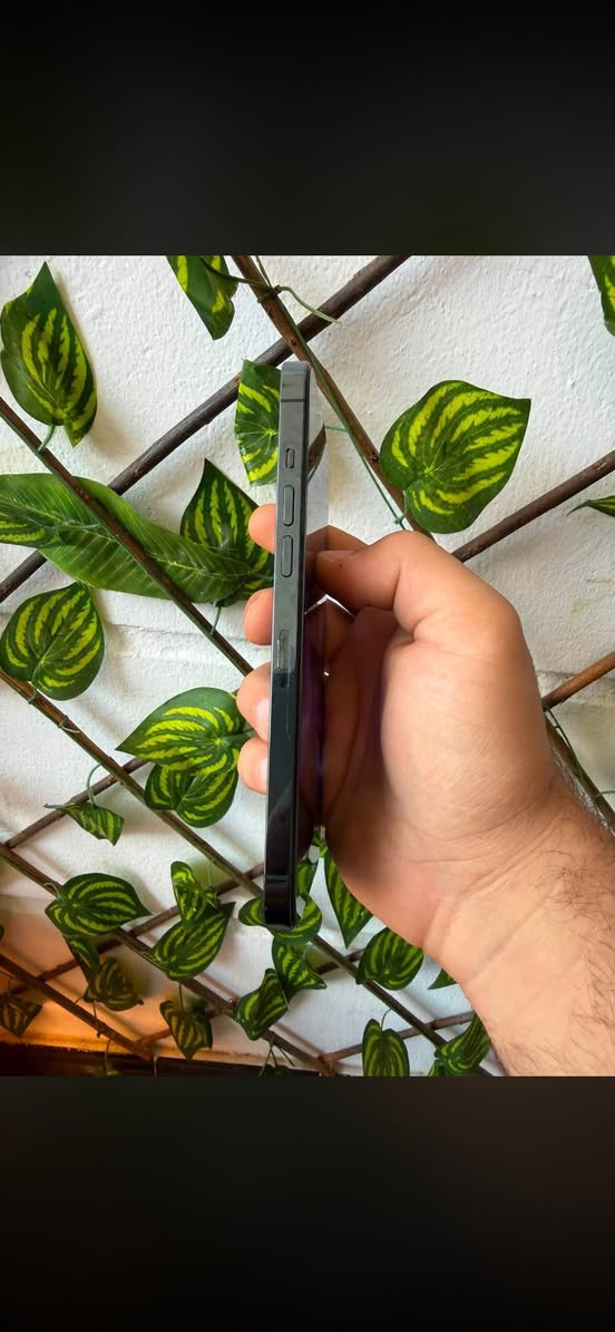 للبيعiPhone 12 Pro Max  
مبدل شاشة أصلية  
البطارية 79%  
قافل iCloud  
بيه فطر بالكلاس ممأثر على الاستخدام  
السعر 170 وبيه مجال بسيط


**إذا كنت صاحب هذا الإعلان وتريد حذفه لأي سبب، رجاءا أرسل رسالة إلى الدعم الفني**