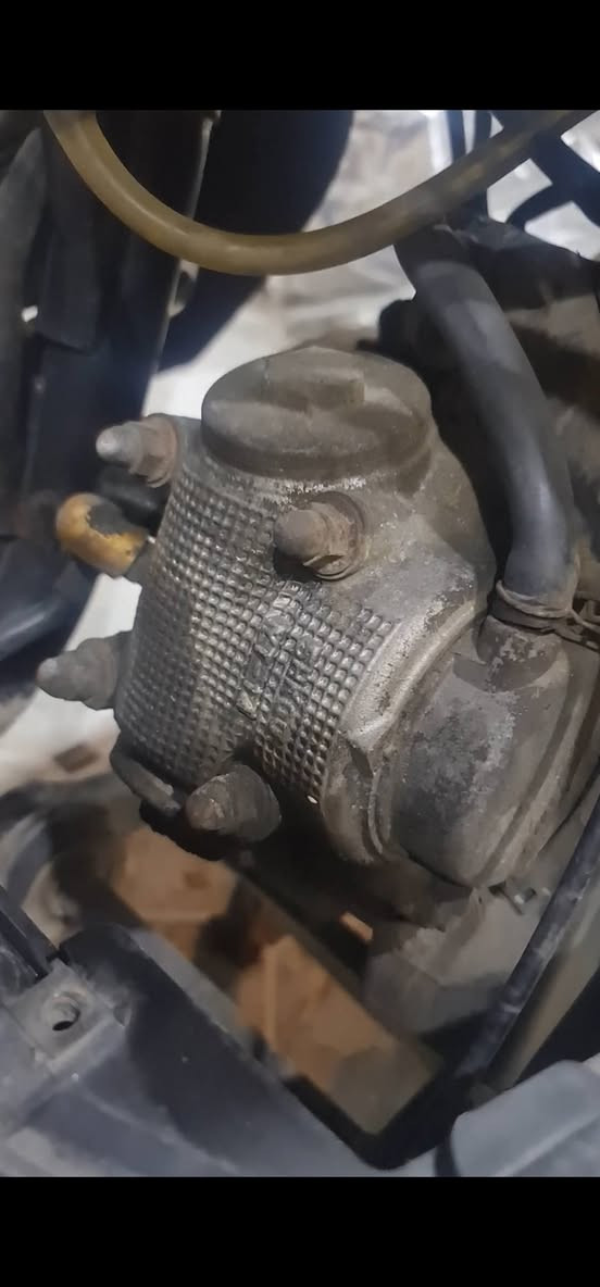 ماكس بوليسي رمبه كفاله عامه سعر خاص ***********
