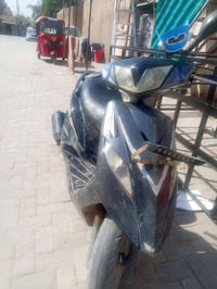 ماكس ثعلب • شغال • شعب