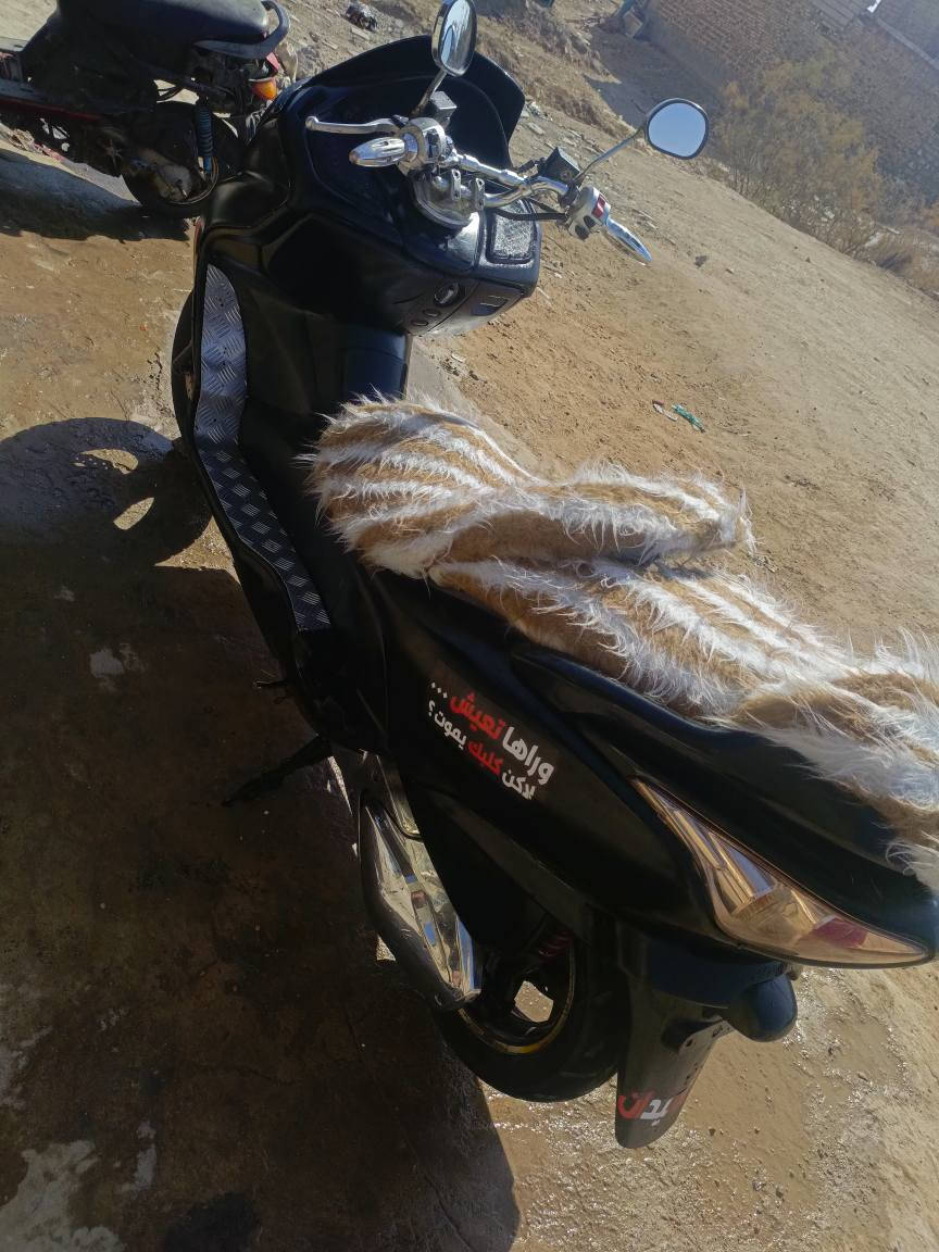 650وبيها مجال حك الجية بابل
‏‪***********‬‏
