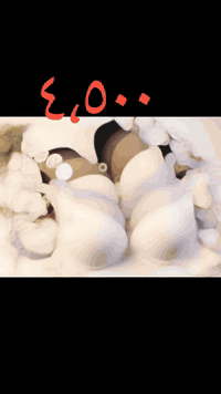 #ستيان_عظم_سفنج_خفيف_طبي  بغداد البنوك شارع الميثاق عمارة قاعة الملاك ...