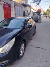 سوناتا • ٢٠١٣ • كربلاء بسمنه