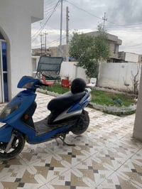 للبيع سكنس فحل. بوشه بلاديه بيع او مراوس 07874245818