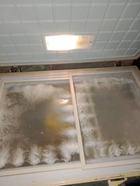 براد • شغال • تجميد فول