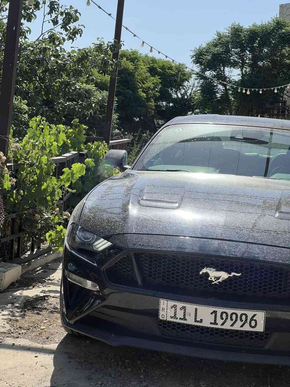 السلام عليكم
موستنك GT موديل 2022 كير عادي 
محرك 5.0L ثمانية سلندر بريميوم 
ماشية ٥٧ الف كيلو
حادثها موجود بالصور 
مكان السيارة : صلاح الدين - قضاء الدجيل
اتشرف بالجميع  
المواصفات :-
بريميوم فول شاشة كبيرة ✅
عدادات ديجيتال ٥ وضعيات قيادة تتغير العدادات حسب الوضعية ✅ 
تدفئة + تبريد كراسي ✅
تدفئة ستيرن ✅
مثبت سرعة ذكي ACC ✅
ويالة ماك 1 ✅
مساعد على تحديد المسار ✅ 
نقطة عمياء ✅ 
خاصية Line Lock الي تقفل التايرات الكدام وتخلي الي ورة تبطنش ✅ 
بيها لانچ كونترول/ Launch control للانطلاق من الصفر ✅ 
وضعيات القيادة ( عادي ، سبورت ، تراك ، دراگ ، ممطر ) ✅ 
وبعد غيرها كومة مواصفات
السيارة فول مواصفات وكلش مريحة ورزنة بالطريق وبالسفر وعالية عن الطسات 
سافرت بيها شمال وجنوب وجانت جداً مريحة
السيارة ماداخله استعراض نهائياً ومابيها اي استخدام من هذا النوع لإن الحلال عزيز.
السيارة بإسمي وبشرط التحويل
السعر ٢٣٥ ورقة وبيها مجال للطيبين 
للتواصل :
*********** علي حسين
