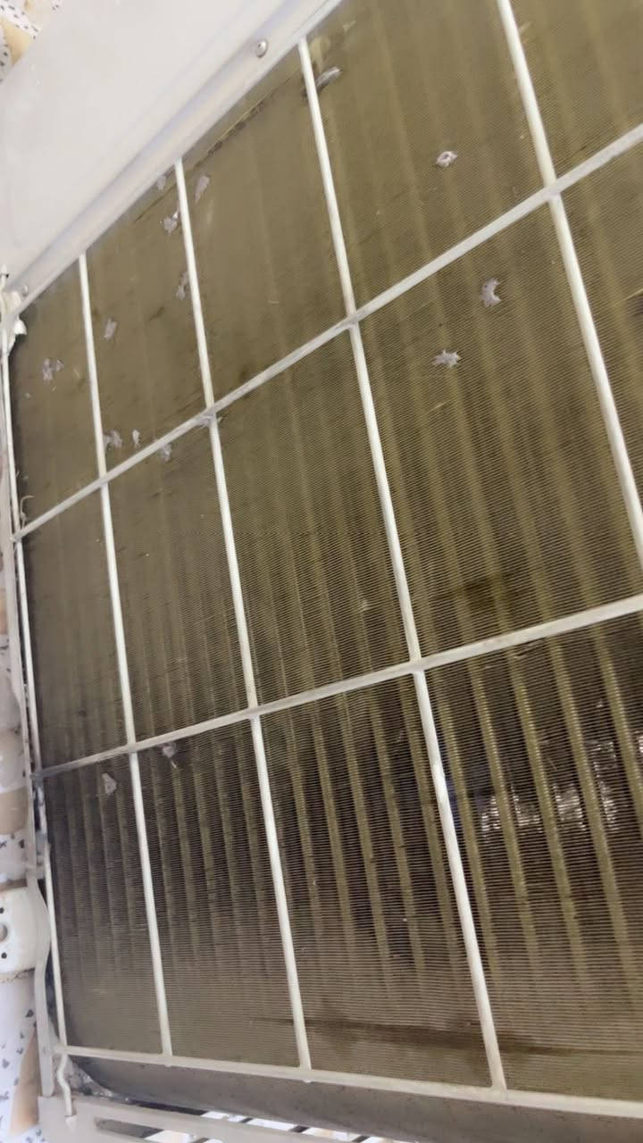 السلام عليكم اخوان سبلت للبيع ثنين طن السبلت بعده جديد مستعمل قليل نظافه 90/100 كامل مكمل غاز مفول وعل فحص تبريده ثلج ☃️❄️🧊 تدفئه نار 🔥🐦‍🔥❤️‍🔥 السبلت راديتراته بعدهن صفر السبلت مغسول وجاهز بس شد مع كامل ملحقاته بواري جديد بل كارتون وايرات قاعده ريمونت السبلت بلادي مكفول من فتحت البرغي 
السبلت تاخذه من باب بيتي وبي ضمان
السعر : 375 وبي مجال كلش بسيط 
للاتصال : ***********
الموقع : بغداد شارع فلسطين
