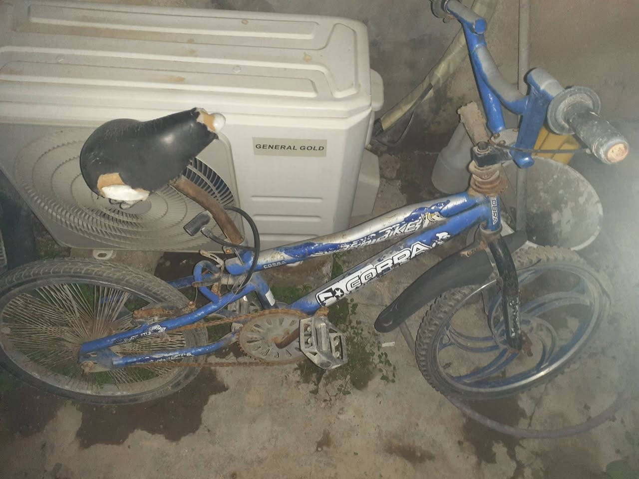 بايشكل مشاكس متروك ما بي شي فقط الستيرن بي ملعب يتصلح ونفخ تايات وصطاب السعر 33 وبي مجال


**إذا كنت صاحب هذا الإعلان وتريد حذفه لأي سبب، رجاءا أرسل رسالة إلى الدعم الفني**