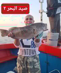 بيركلي • وايبتاش 8 • جديلة PE