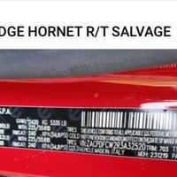 هورنت • ٢٠٢٤ • هايبرد