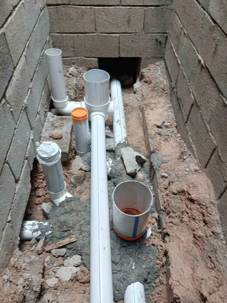 عبد تأسيس صحيات عامه ***********
