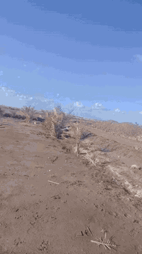 سلام عليكم 
 
نصف دونم البيع قرب قريت المدور بيه نخل 30 نخله

وصله كهرباء وماء شارعه سبيس السعر تصل  ***********
