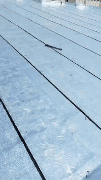 لؤلؤة كربلاء • إيزوكام سطوح • ضمان ١٠ سنوات