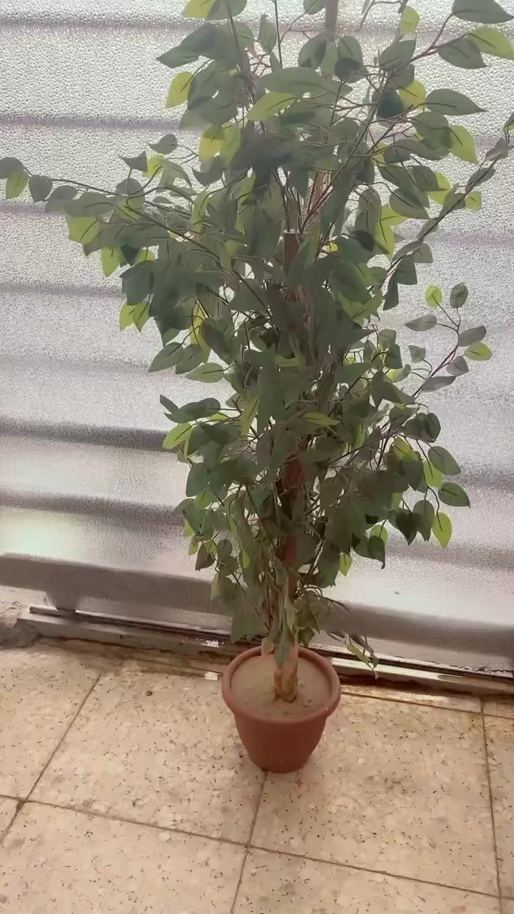 السلام عليكم
مخده استراحه 
سندانه 
للبيع


**إذا كنت صاحب هذا الإعلان وتريد حذفه لأي سبب، رجاءا أرسل رسالة إلى الدعم الفني**