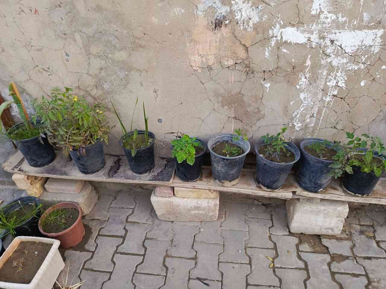 سلام عليكم حديقة للبيع بيه أكاسيا المصرية مع سندانات كثيره مكاني نجف


**إذا كنت صاحب هذا الإعلان وتريد حذفه لأي سبب، رجاءا أرسل رسالة إلى الدعم الفني**