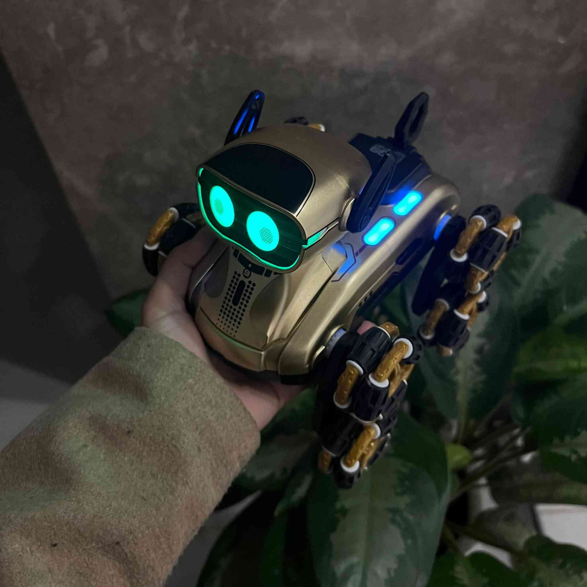 متاح شراي فقط يتواصل خاص روبورت ذكي عدد قطعتين شرط شغل


**إذا كنت صاحب هذا الإعلان وتريد حذفه لأي سبب، رجاءا أرسل رسالة إلى الدعم الفني**