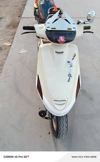 فراشه فحل • نظيفة فول • المشخاب نجف