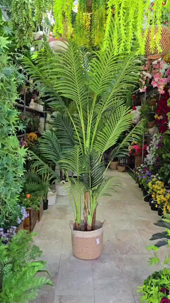 السلام عليكم محل لبيع الورد والاشجار الصناعيه مشابهه الطبيعي كوت الكفاءات شارع  رقم الهاتف ***********
