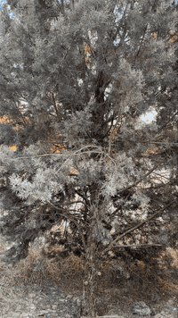 بختياري أربيل • ١٠٠م • ٤ غرف