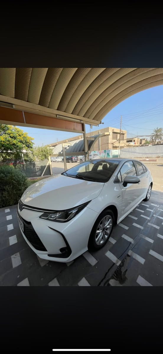 زيرو 2025
160
بغداد الرصافة 
***********
